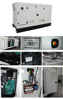 Gruppo elettrogeno silenziato da 6,25 KVA con interruttore automatico Delixi e autonomia di 8 ore a pieno carico per un'alimentazione elettrica silenziosa