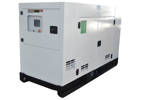 Alimentato dal gruppo elettrogeno del motore 100kw di FPT FPT NEF67SM1 con tipo chiuso